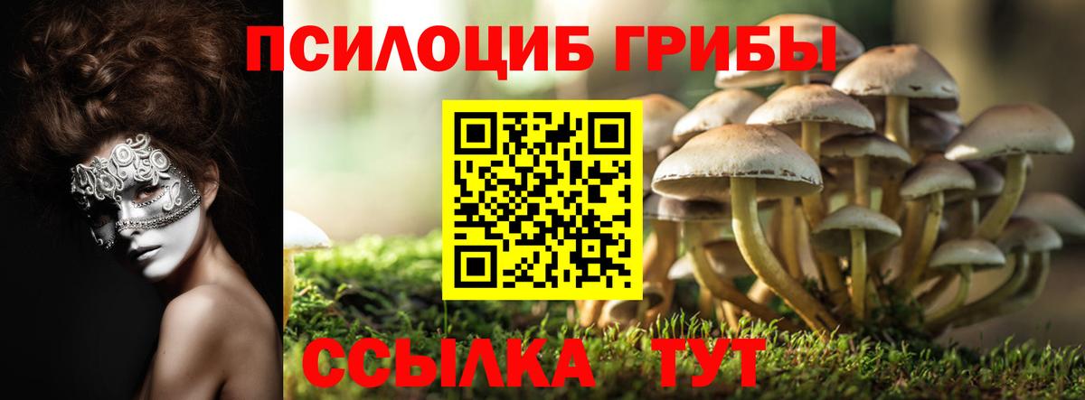 Псилоцибиновые грибы мицелий  Псилоцибиновые грибы мицелий  Каспийск  Вход с VPN 